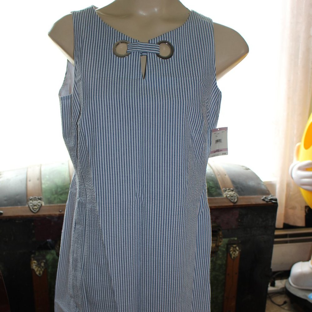 NWT Anne Klein Blue & White Pin Striped Summer Lined Dress Sz 6 Nice